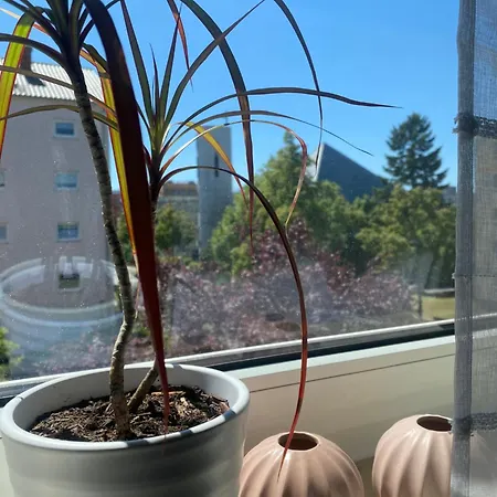 Homesweethome#speyer Apartamento