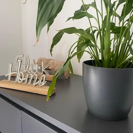 Apartamento Homesweethome#speyer