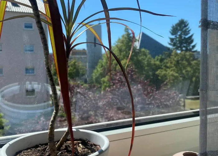 Homesweethome#speyer דירה